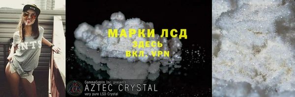 гашик Алексин