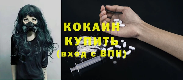 гашик Алексин