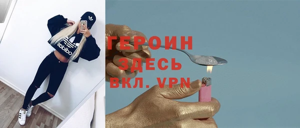 гашик Алексин