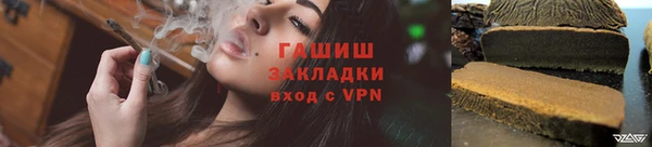 гашик Алексин
