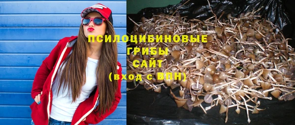 гашик Алзамай