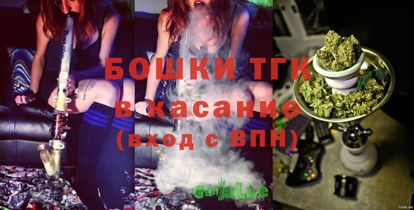 гашик Алексин