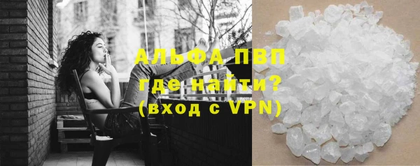 гашик Алексин