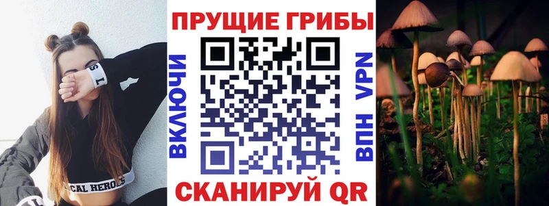 где продают наркотики Чёрмоз Галлюциногенные грибы MAGIC MUSHROOMS